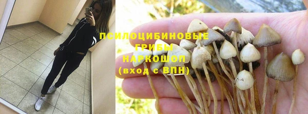 МДПВ Бородино