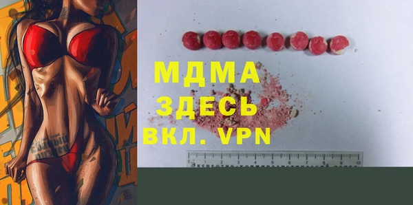 МДПВ Бородино