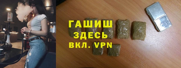 МДПВ Бородино