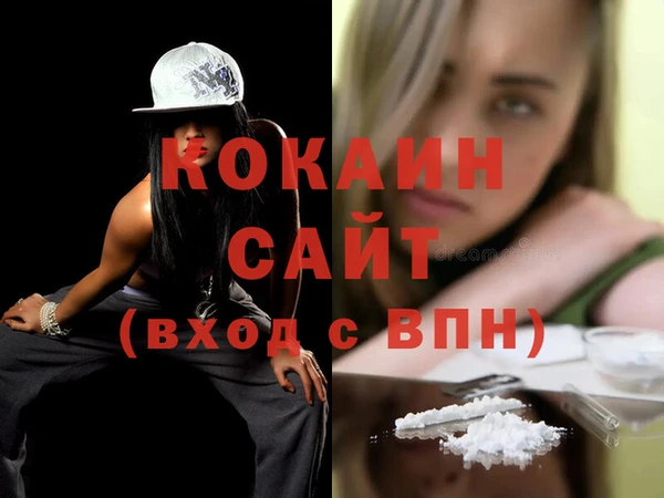 МДПВ Бородино