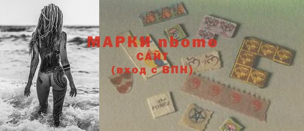 МДПВ Бородино