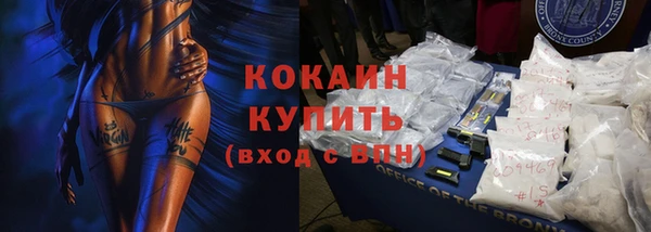 МДПВ Бородино