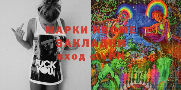 МДПВ Бородино