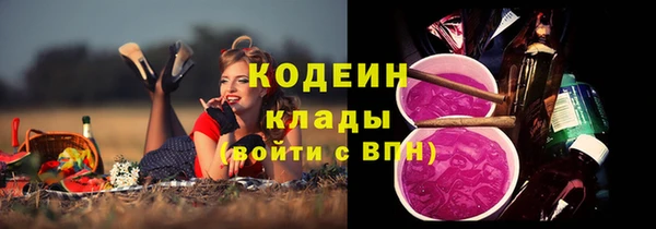 МДПВ Бородино