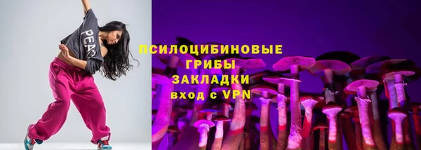 МДПВ Бородино
