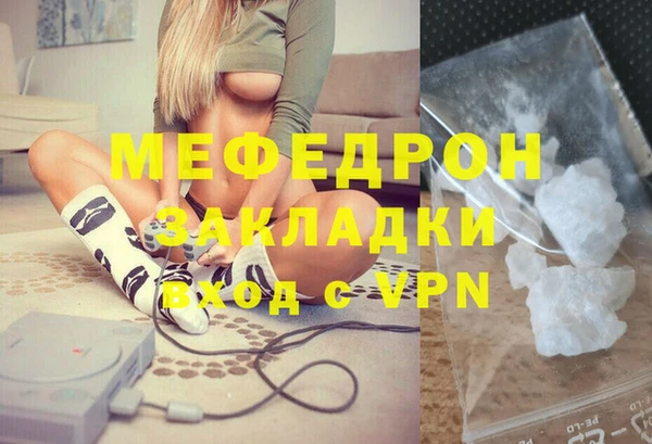 МДПВ Бородино