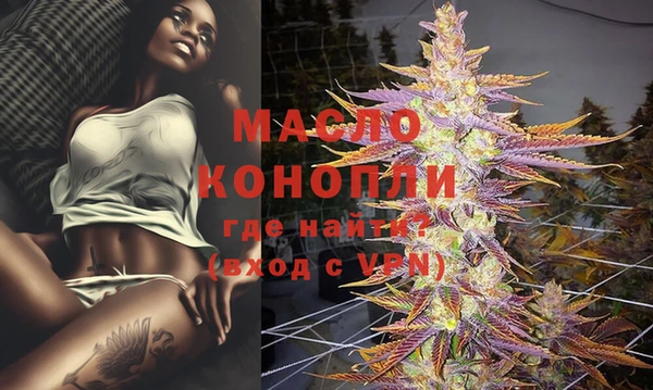 МДПВ Бородино