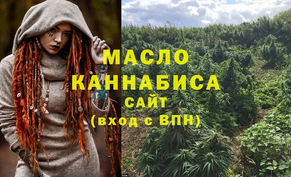 МДПВ Бородино