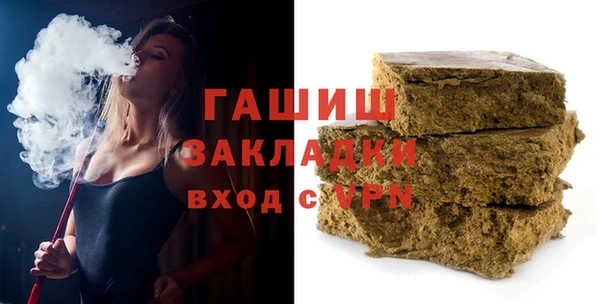 МДПВ Бородино