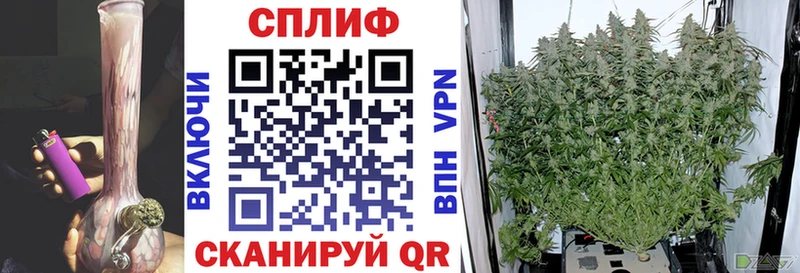 Конопля сатива  гидра зеркало  Малоархангельск 